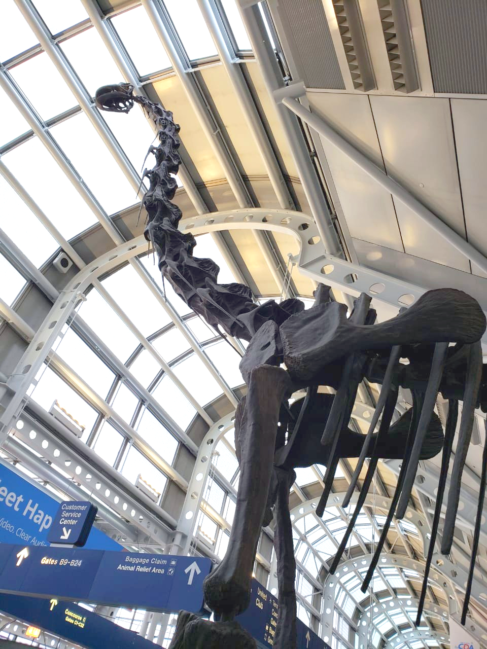 dinosaur skeleton inside an airport