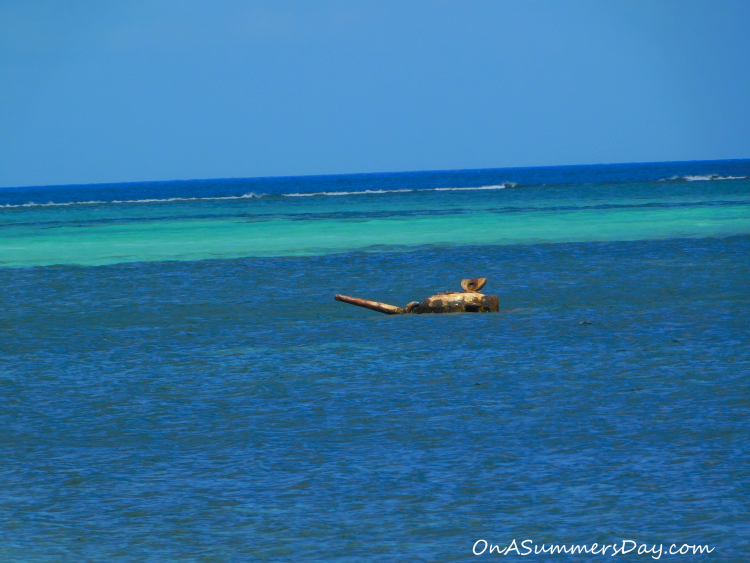 Saipan, Saipan Series, Oddities
