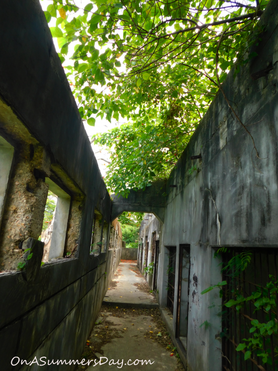 Saipan, Saipan Series, Oddities
