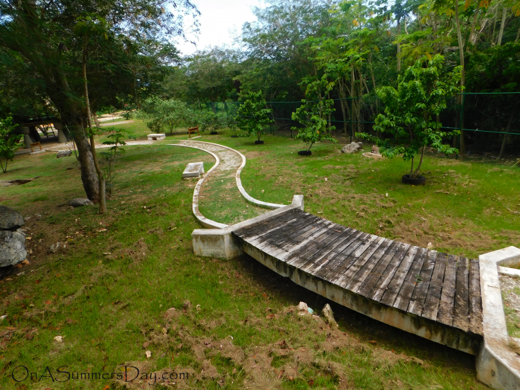 Walking path