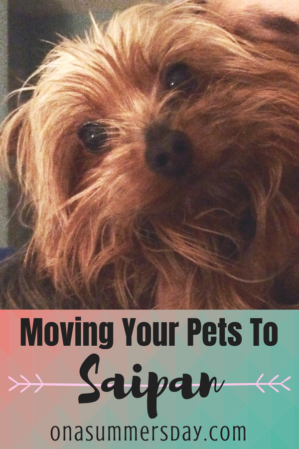 Moving pets to saipan, relocating pets overseas, Saipan, moving to Saipan